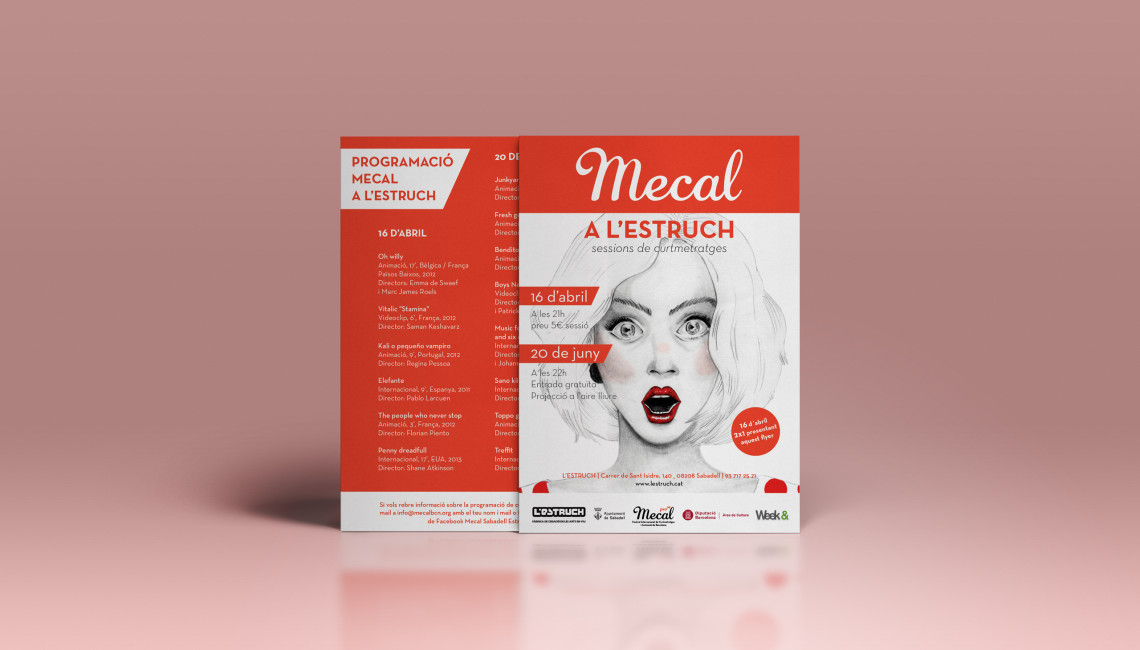 flyer_mecal